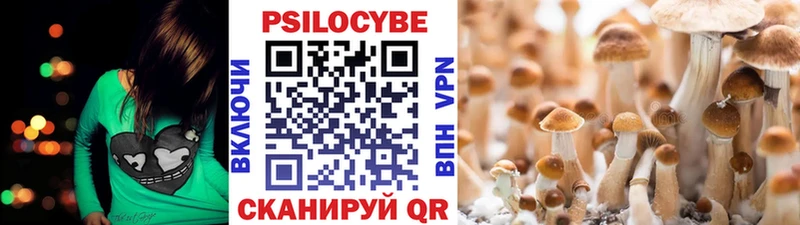 Псилоцибиновые грибы Magic Shrooms  где можно купить   Домодедово 